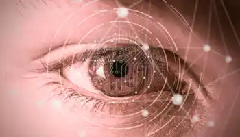 Ein Blick auf die Netzwerkverbindungen